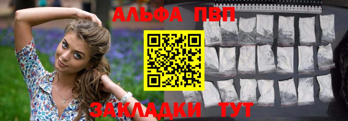 Альфа ПВП СК Великие Луки