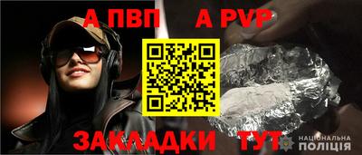 стаф Можга