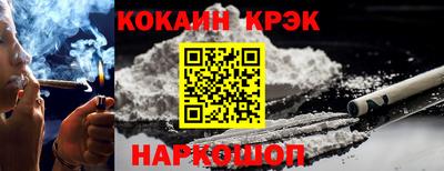 стаф Можга