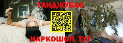стаф Можга