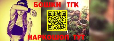 стаф Моздок