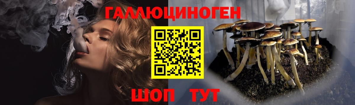 Великие Луки  Галлюциногенные грибы Magic Shrooms  Вход с VPN 